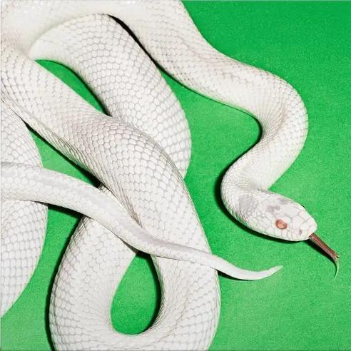 Deftones - Private Music