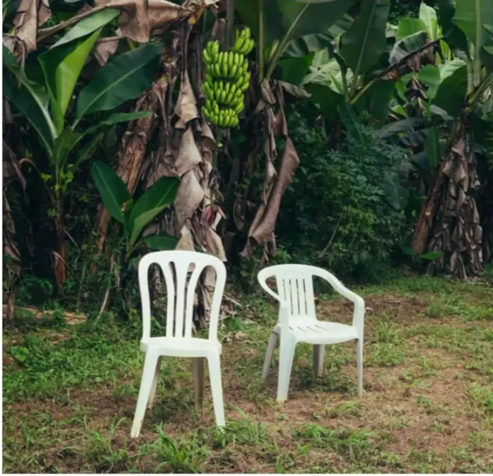 BAD BUNNY - Debi Tirar Mas Photos 2LP