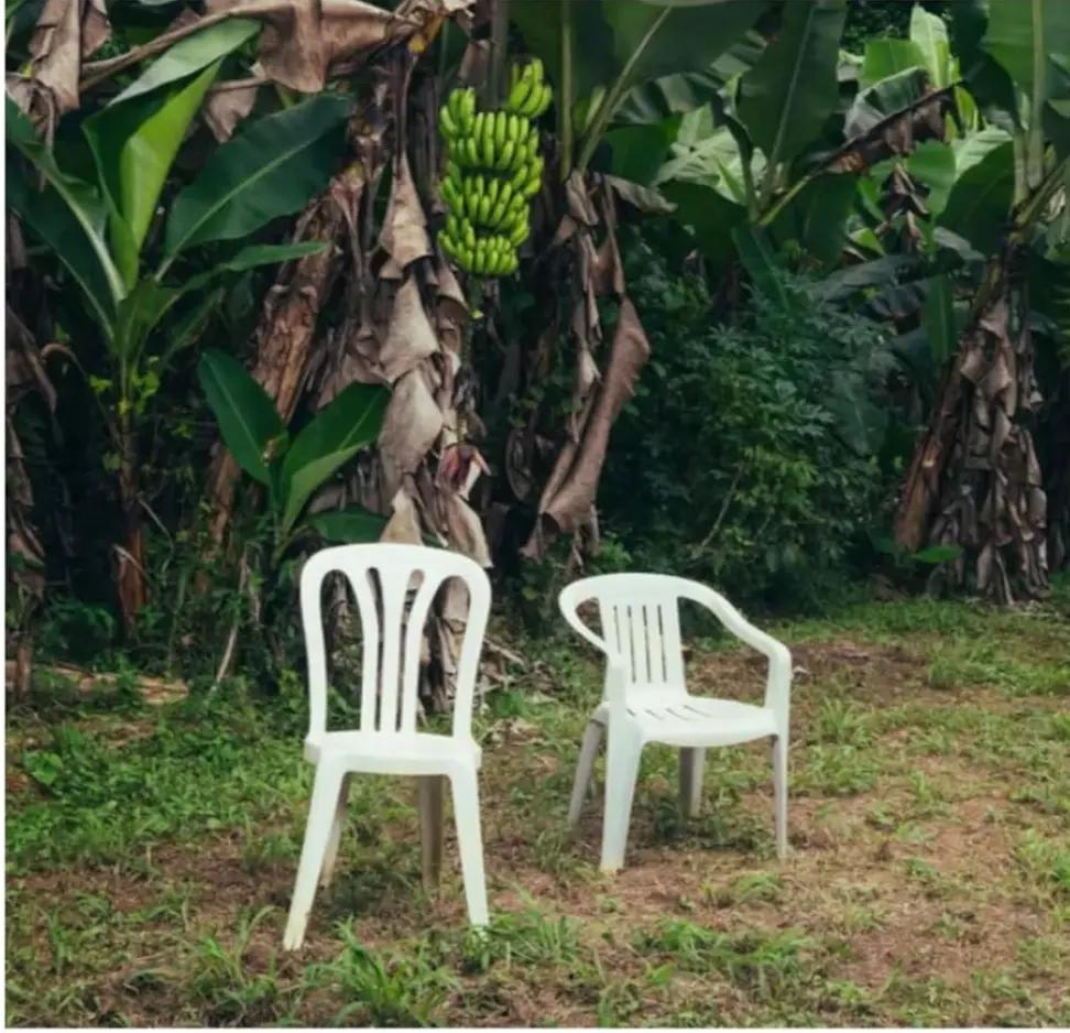 BAD BUNNY - Debi Tirar Mas Photos 2LP