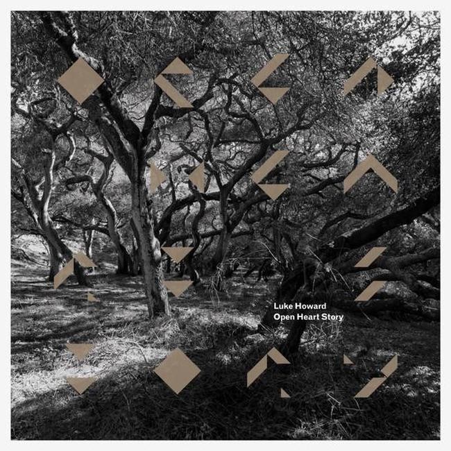 Luke Howard - Open Heart Story