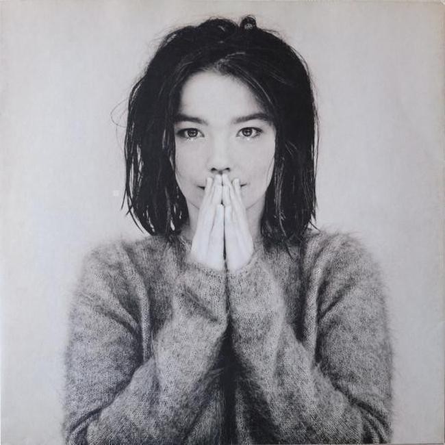 Björk - Debut