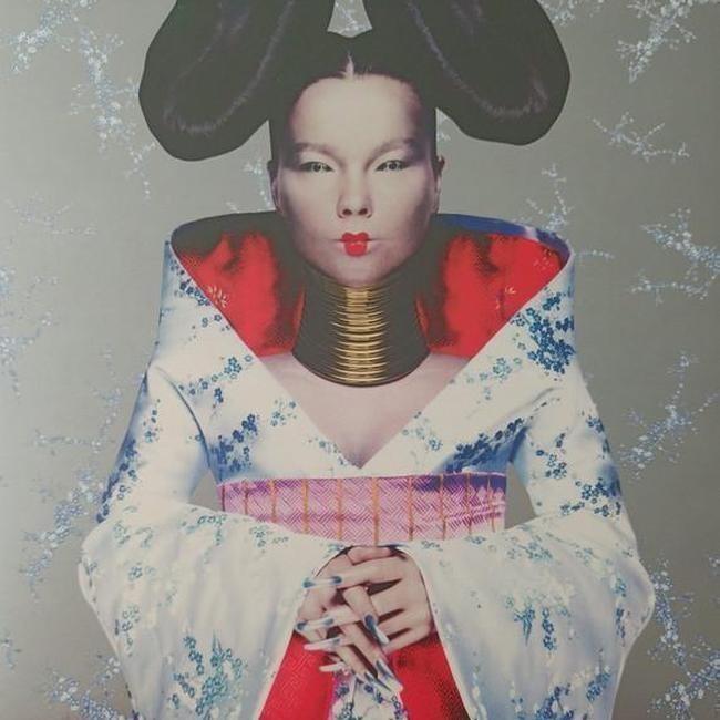 Björk - Homogenic