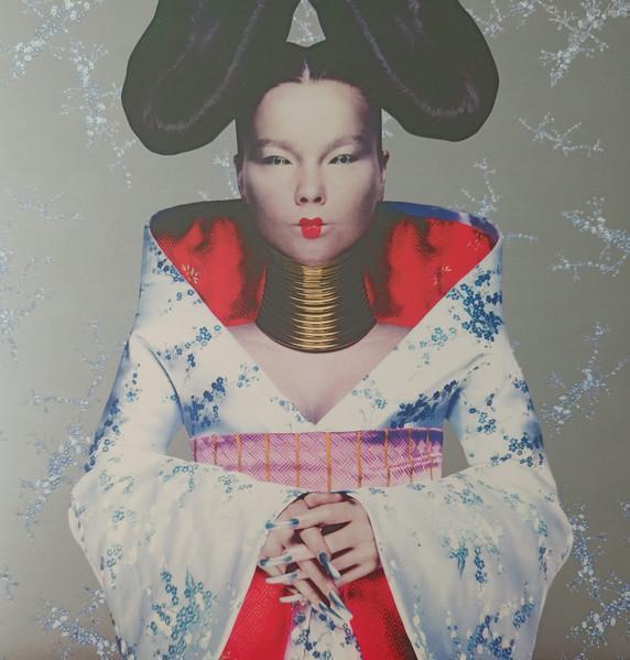Björk - Homogenic