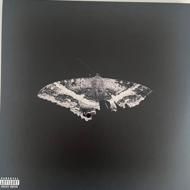 Kendrick Lamar - To Pimp A Buttefrly