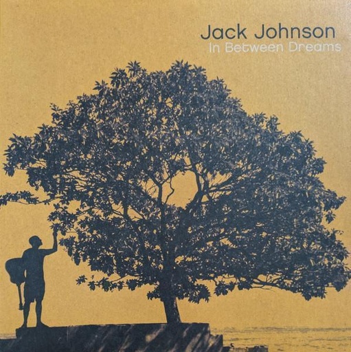 Jack Johnson - In Between Dreams