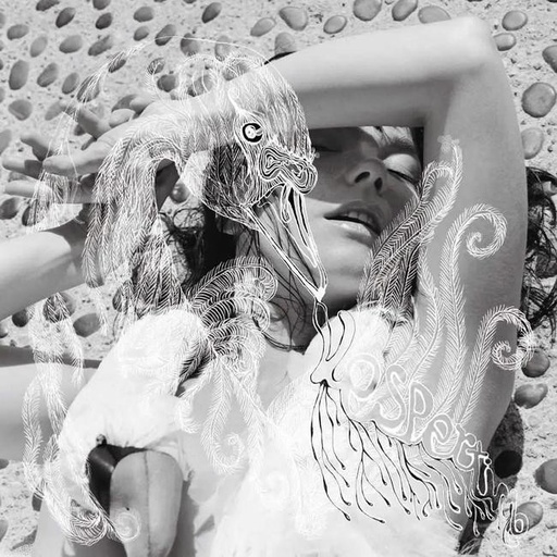 [5016958046019] Björk - Vespertine