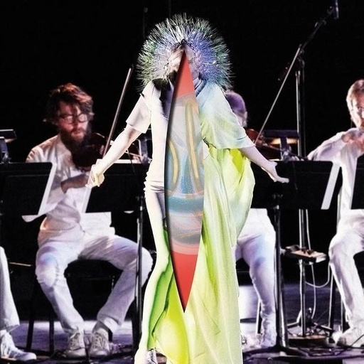 [5016958996819] Björk - Vulnicura Strings