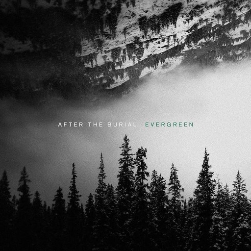 [0817424019972] After The Burial - Evergreen