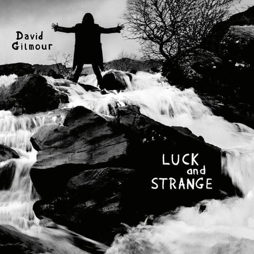 [0198028046114] David Gilmour - Luck And Strange
