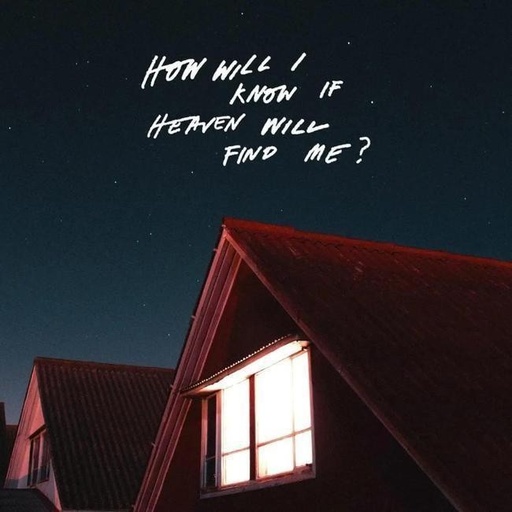 [0602445554645] The Amazons - How Will I Know If Heaven Will Find Me?