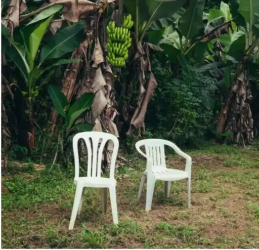 BAD BUNNY - Debi Tirar Mas Photos 2LP