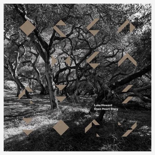 [0602567041566] Luke Howard - Open Heart Story