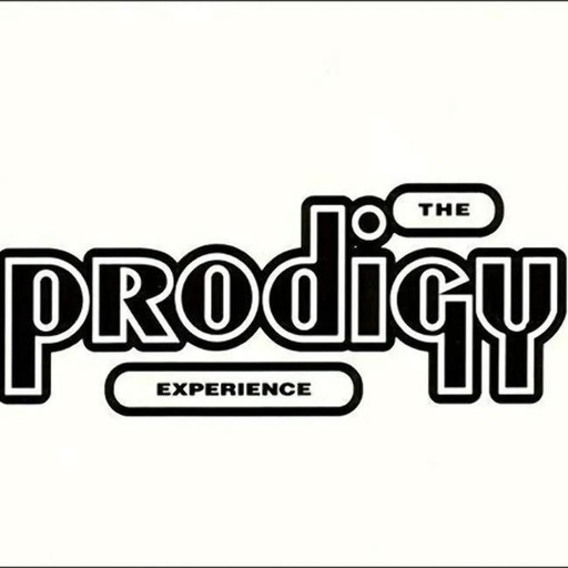 [0634904011017] The Prodigy - Experience