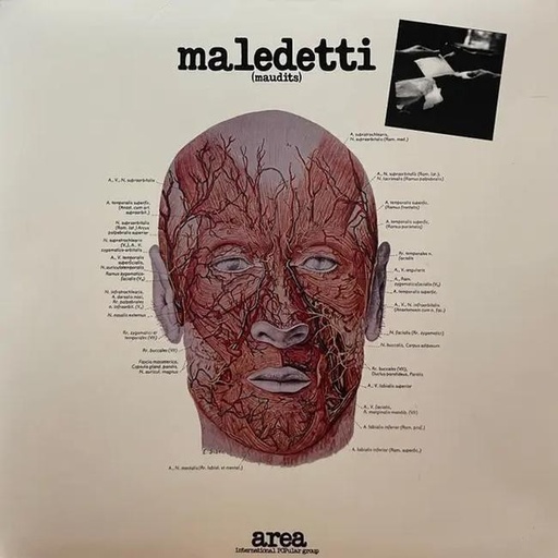 [0196587031015] Area - Maledetti (Maudits)