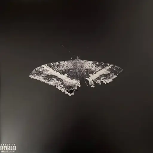 Kendrick Lamar - To Pimp A Butterfly