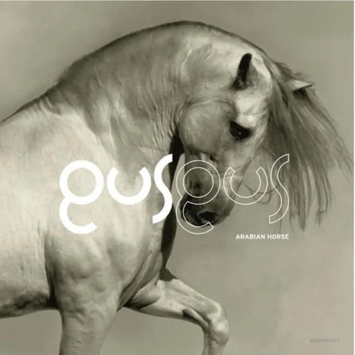 [0880319058134] GusGus - Arabian Horse