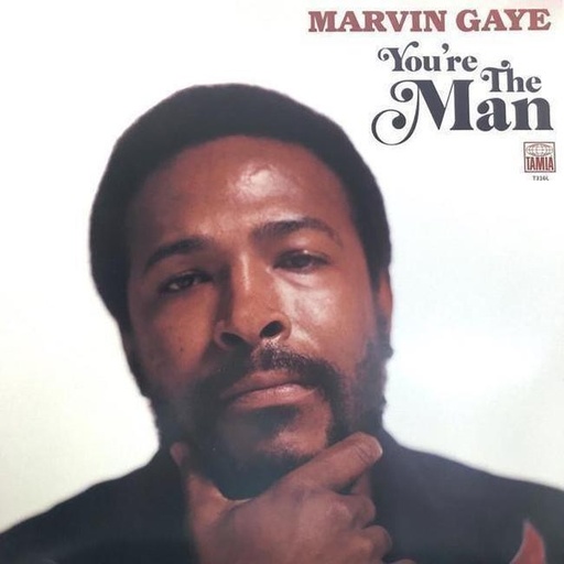 [0602577163395] Marvin Gaye - You're The Man