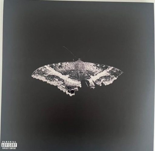 Kendrick Lamar - To Pimp A Buttefrly